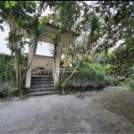 Untitled design - 2024-11-20T152811.619