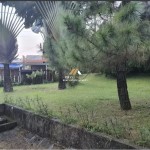 Untitled design - 2024-11-20T152902.677