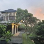 Untitled design - 2024-11-20T152911.780