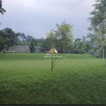 Untitled design - 2024-11-20T152921.528