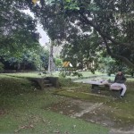 Untitled design - 2024-11-20T152936.780