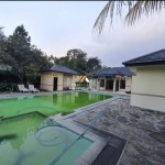 Untitled design - 2024-11-20T152958.017