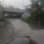 WhatsApp Image 2024-11-13 at 21.21.43_c294aae1