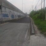 WhatsApp Image 2024-11-13 at 21.21.45_d43036d7