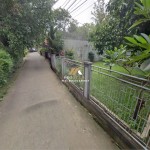 Untitled (1600 x 747 px) (1600 x 720 px) (26)