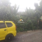 Untitled design (45)