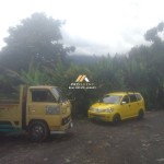 Untitled design (47)