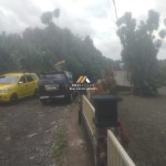 Untitled design (48)