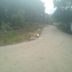 Untitled design (54)