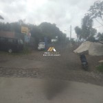 Untitled design (60)