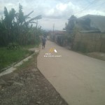 Untitled design (61)