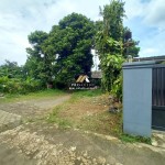 Untitled design (91)