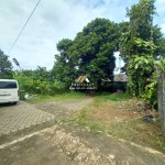 Untitled design (92)