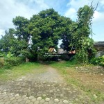 Untitled design (94)