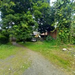 Untitled design (96)