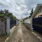 Untitled design (97)