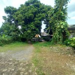 Untitled design (98)