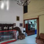 dina tebet dalam 2