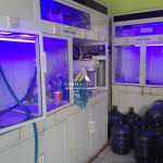 (0251) 8317918 (25)