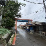 IMG_4791