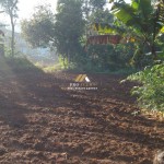 Untitled (1600 x 747 px) (1600 x 720 px) (10)