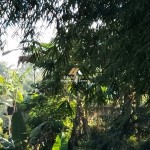 Untitled (1600 x 747 px) (1600 x 720 px) (11)