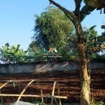 Untitled (1600 x 747 px) (1600 x 720 px) (12)