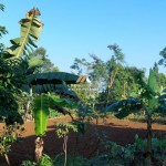 Untitled (1600 x 747 px) (1600 x 720 px) (13)