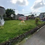 Untitled (1600 x 747 px) (1600 x 720 px) - 2025-01-07T124927.591