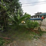 Untitled (1600 x 747 px) (1600 x 720 px) (7)