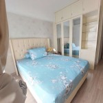 Untitled design - 2025-01-04T131554.048