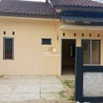 Untitled design - 2025-01-06T155033.996