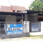 Untitled design - 2025-01-08T132838.678