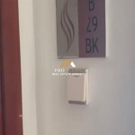 Untitled design - 2025-01-16T141423.953