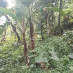 Untitled design - 2025-01-23T142411.721