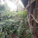 Untitled design - 2025-01-23T142424.083