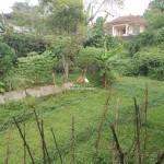 Untitled design - 2025-01-23T142502.452