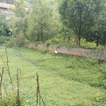 Untitled design - 2025-01-23T142515.244