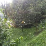 Untitled design - 2025-01-23T142547.114