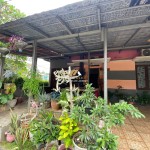 Untitled design - 2025-01-24T141546.643