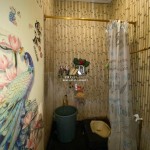 Untitled design - 2025-01-24T142052.565