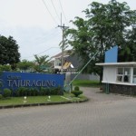 Untitled design - 2025-01-25T101330.356