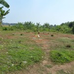 Untitled design - 2025-01-25T144939.993