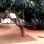 Untitled design - 2025-01-31T083217.708