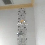 Untitled design - 2025-01-31T083256.596