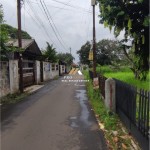 Untitled design (61)