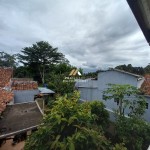 Untitled design (62)