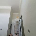 Untitled design (97)