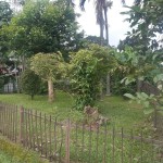 bangka 37 5