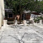 Gambar WhatsApp 2025-02-15 pukul 08.55.21_41e0e1b4